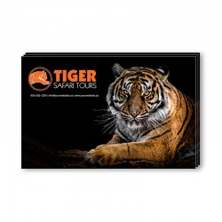8.5 x 5.5 Single Sided Full Colour Postcards