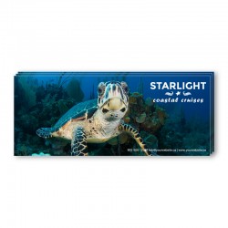 4.5 x 11 Single Sided Full Colour Postcards