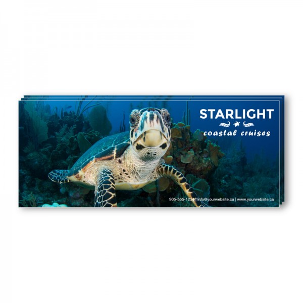 4.5 x 11 Single Sided Full Colour Postcards 4.5 x 11 Single Sided Full Colour Postcards
