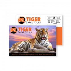 4.25 x 2.75 Double Sided Full Colour Postcards