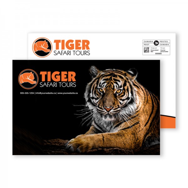 8.5 x 5.5 Double Sided Full Colour Postcards 8.5 x 5.5 Double Sided Full Colour Postcards