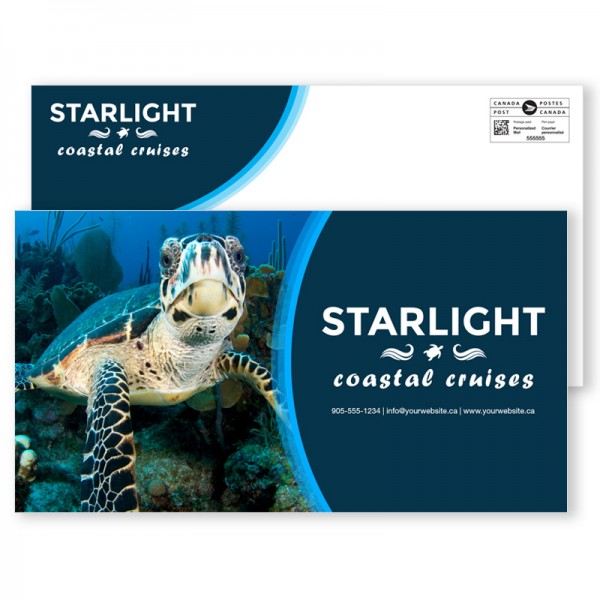6 x 11 Double Sided Full Colour Postcards 6 x 11 Double Sided Full Colour Postcards