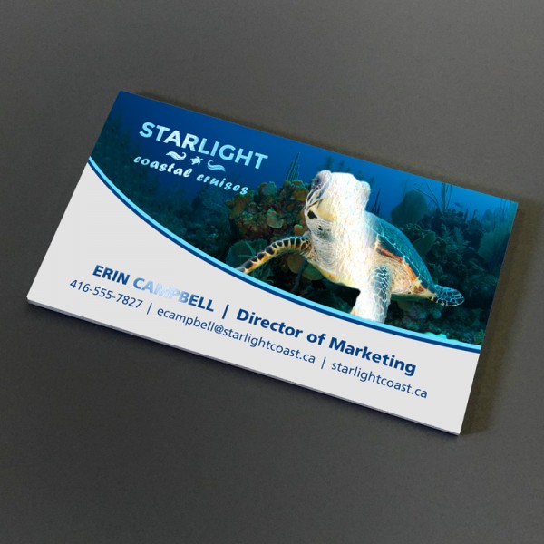 2" x 3.5" Spot UV Business Cards on matte card stock with spot uv on both sides