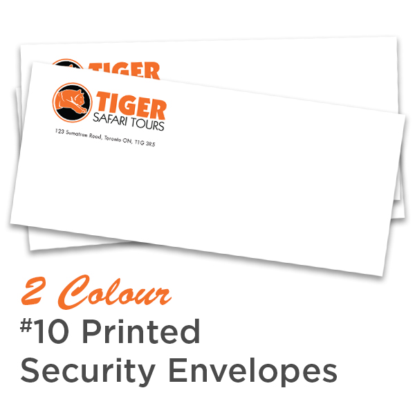 2 Colour #10 Printed Regular Security Envelope