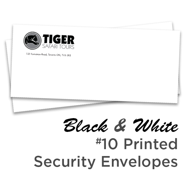 B&W #10 Printed Regular Security Envelope