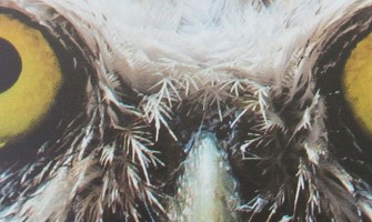 Is my Image the Correct Resolution?