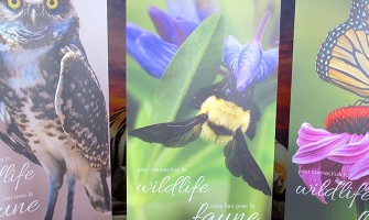 Tradeshow Banners Explained