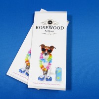 Tri-Fold Brochure