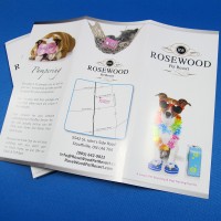 Tri-Fold Brochure