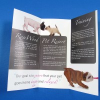 Tri-Fold Brochure