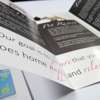 Tri-Fold Brochure