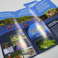 Tri-Fold Brochure