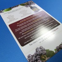 Full Colour Flyers
