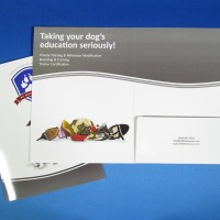 Inside - Full Colour Pocket Folders