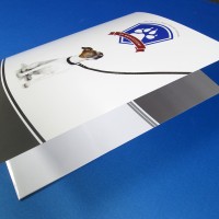Full Colour Pocket Folders