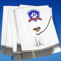 Full Colour Pocket Folders