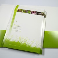 Back - Full Colour Pocket Folders