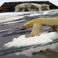 Full Colour Postcards