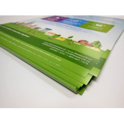 11.5  x 17.5 Single Sided Full Colour Flyers
