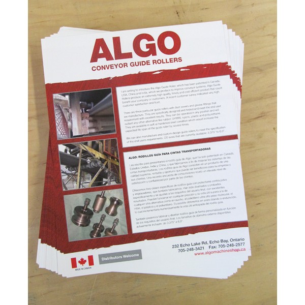 11  x 17 Single Sided Full Colour Flyers