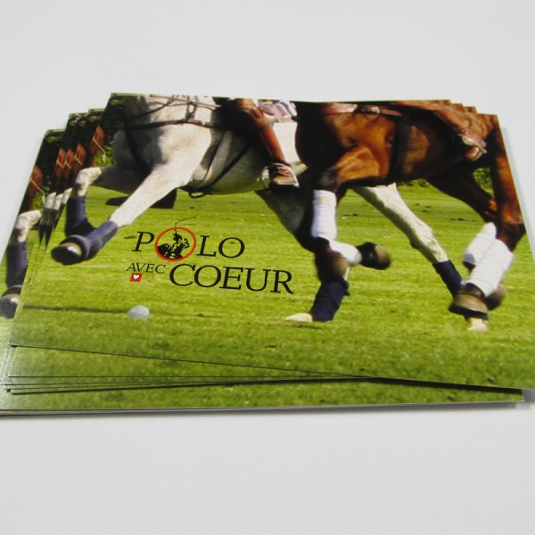 8.5 x 5.5 Single Sided Full Colour Postcards