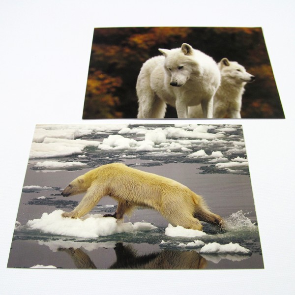 4.25 x 3.66 Double Sided Full Colour Postcards