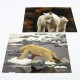 8.5 x 3.5 Double Sided Full Colour Postcards