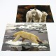 6 x 11 Double Sided Full Colour Postcards 6 x 11 Double Sided Full Colour Postcards