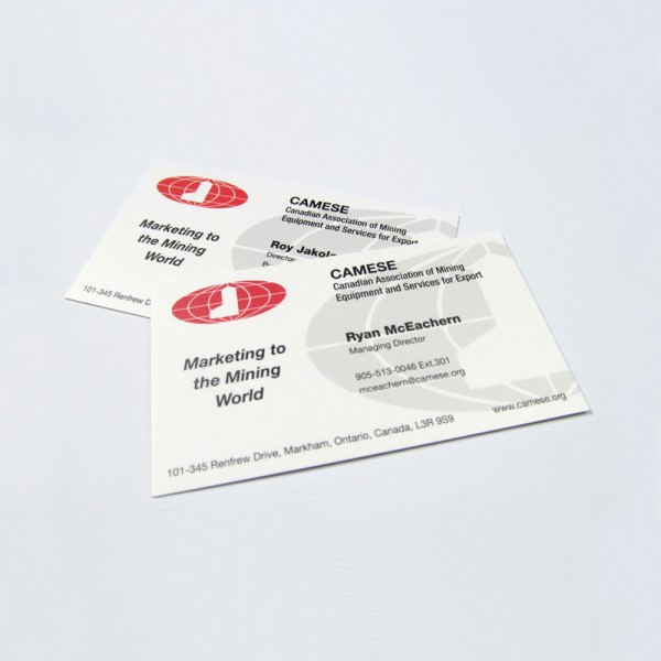 2" x 3.5" Matte Business Cards