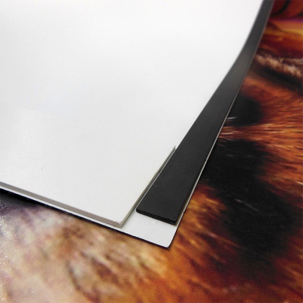 20'W x 8'H “S” Shaped Pop Up Trade Show Replacement Panels