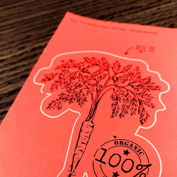 Custom Rectangle Fluorescent Paper Labels Custom Rectangle Fluorescent Paper Labels