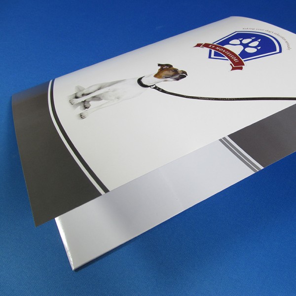 9" x 14 1/2" Presentation Folder