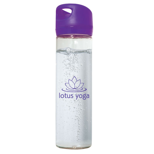 500 ml (17 fl oz) Single Wall Glass Water Bottle, D1-WB8293