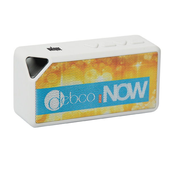 Hd Ready All-Day Dj Wireless Speaker with Fm Radio, D1-CU5449 Hd Ready All-Day Dj Wireless Speaker with Fm Radio, D1-CU5449