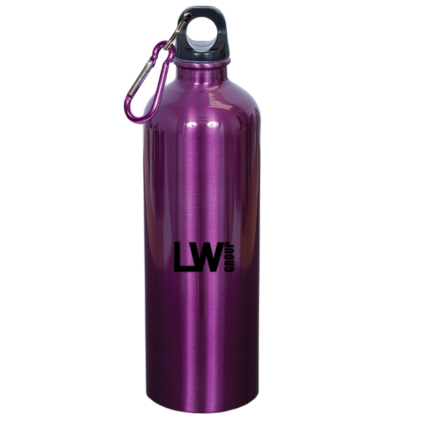 750Ml (25 fl oz) Stainless Steel Water Bottle, D1-WB3940 750Ml (25 fl oz) Stainless Steel Water Bottle, D1-WB3940