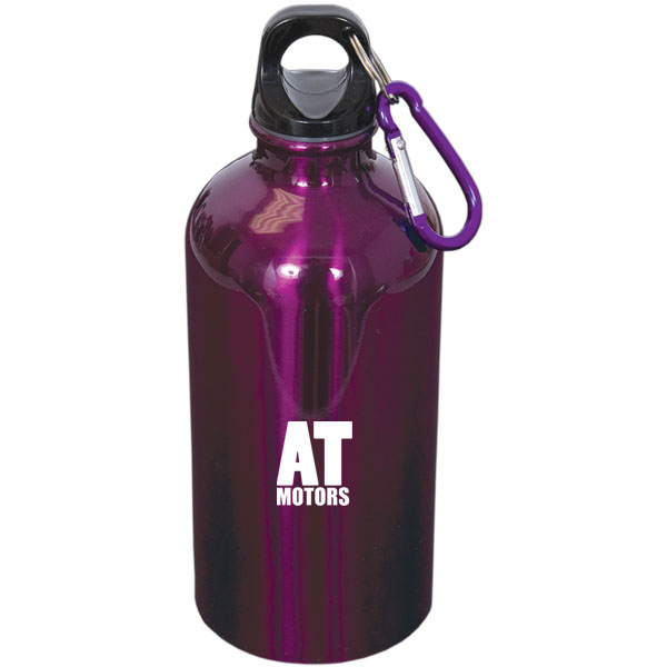 500 Ml (17 fl oz) Stainless Steel Bottle with Carabiner, D1-WB4833