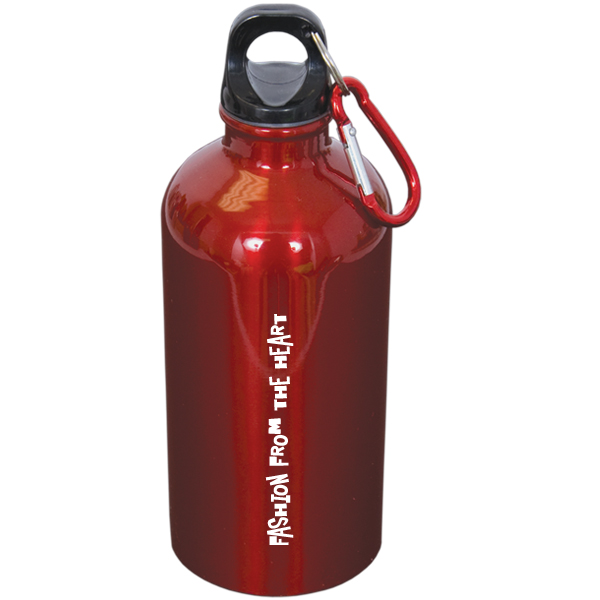 500 Ml (17 fl oz) Stainless Steel Bottle with Carabiner, D1-WB4833 500 Ml (17 fl oz) Stainless Steel Bottle with Carabiner, D1-WB4833