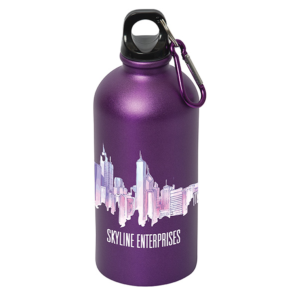 Shynebry 500 ml (17 fl oz) Stainless Steel Bottle, D1-WB9833