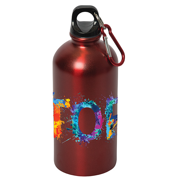 Shynebry 500 ml (17 fl oz) Stainless Steel Bottle, D1-WB9833