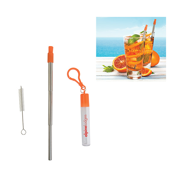 Thermosphere Telescopic Stainless Straw In Case, D1-KP9694